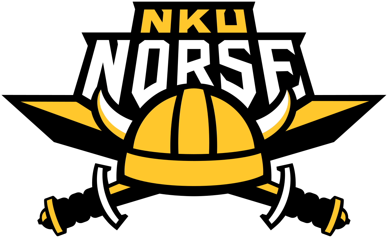 Bold logo featuring a yellow Viking helmet with white horns and the word NORSE in large white letters on a black background