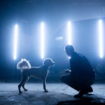 Man kneels in a blue-lit studio, talking to a curly-haired dog facing him.