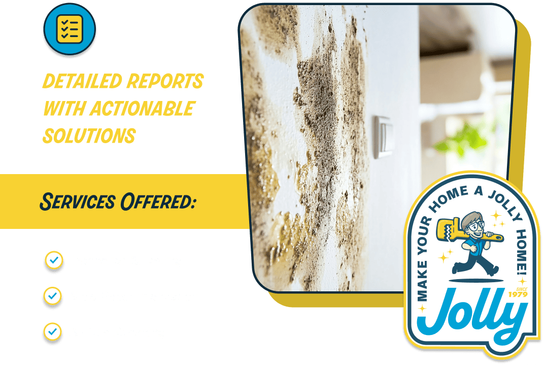 Graphic promoting home mold services: bold yellow headline, 'Detailed reports with actionable solutions', a yellow 'Services Offered' band with three checked items, and a moldy wall image beside a Jolly logo.